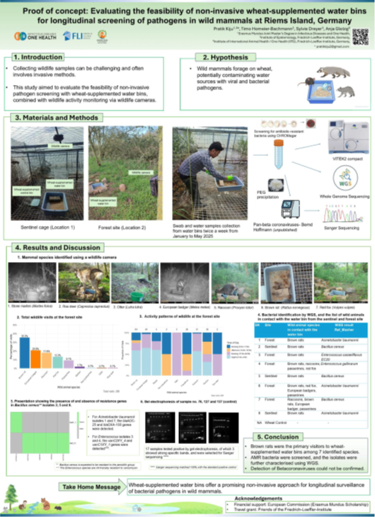 Figure 2: Full Poster at the EWDA conference.