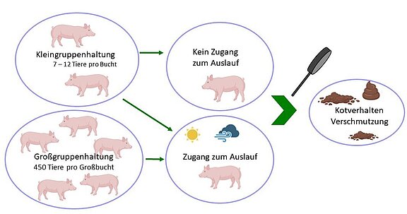 Kurze Zusammenfassung der durchgeführten Projekte