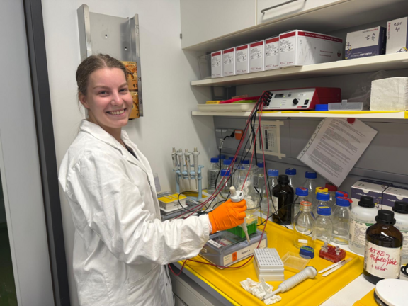 Vorbereitung der Gelelektrophorese