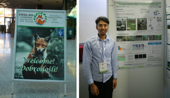 Figure 1: Poster presentation at the EWDA conference.
