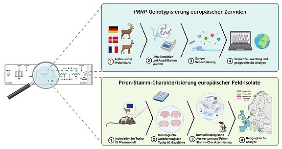 Kurze Zusammenfassung der durchgeführten Projekte