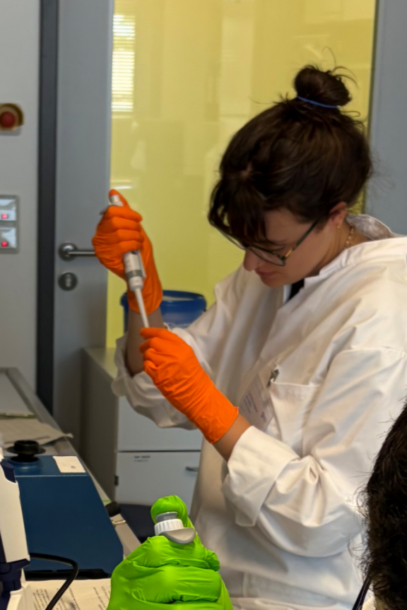 DNA-Extraktion aus Blut von Greifvögeln.