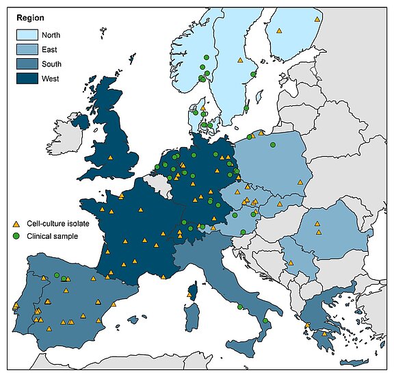 Geografische Herkunft von 110 europäischen T. gondii Isolaten und 47 klinischen Proben