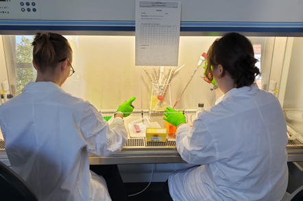 Zwei der Studierenden im Labor.
