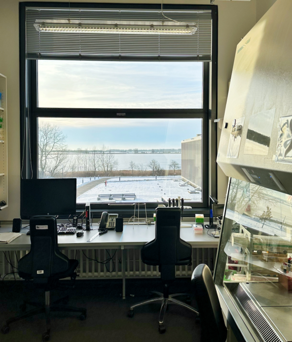 Blick aus dem Labor.